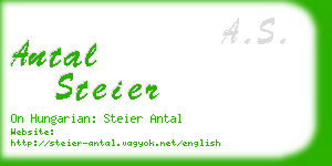 antal steier business card